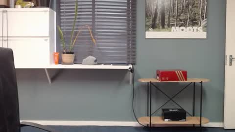 JamesJan van Rebel online show from 12-13-24, 11:34