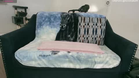 Snapshot of jjjust4fun1985 chatting on 01-01-25, 10:24 Nicole Allen online show from 01-01-25, 10:24