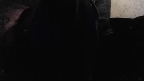 jjohnathan529 online show from 01-26-25, 03:58