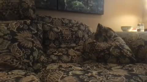 jlk7777 online show from 12-04-24, 07:01