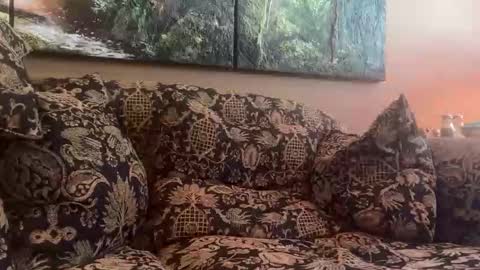 jlk7777 online show from 04-26-26, 05:10