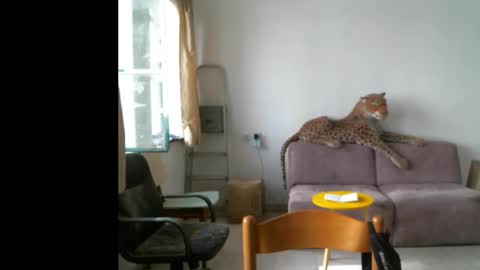 Snapshot of jlmbud chatting on 09-29-25, 10:20 jlmbud online show from 09-29-25, 10:20