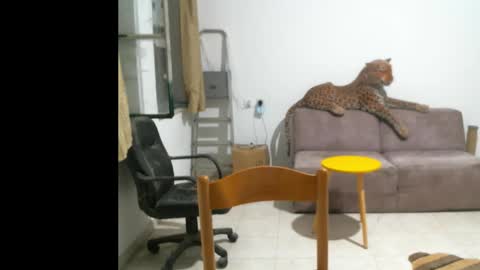 Snapshot of jlmbud chatting on 10-11-25, 10:41 jlmbud online show from 10-11-25, 10:41