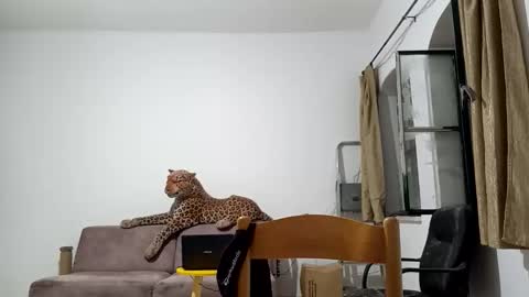Snapshot of jlmbud chatting on 10-20-25, 12:33 jlmbud online show from 10-20-25, 12:33