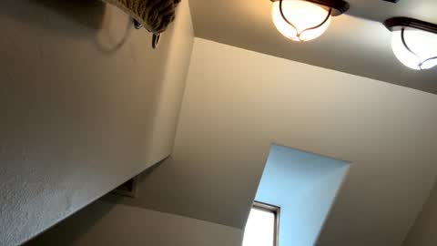 Jimmy online show from 02-03-25, 05:14