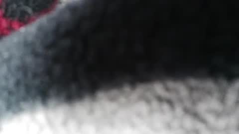 Jimmy online show from 02-23-25, 05:56