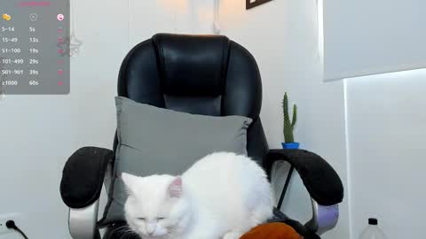 Snapshot of jmortton chatting on 12-01-25, 02:33 IGJmortton online show from 12-01-25, 02:33