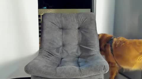 Snapshot of joan_saenz chatting on 01-09-25, 03:47 JOAN SAENZ online show from 01-09-25, 03:47