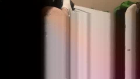 jocmyv9wokry online show from 02-20-26, 11:54