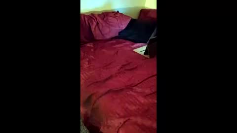 joeborrowman7 online show from 03-01-26, 08:38