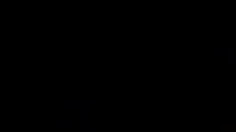 joeyjoy11125648 online show from 12-24-24, 06:28