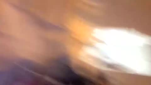 Snapshot of john0131739980 chatting on 09-19-25, 06:37 john0131739980 online show from 09-19-25, 06:37