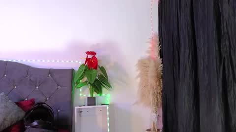 John  online show from 02-26-26, 12:37