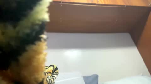 JOHN online show from 02-08-25, 11:55