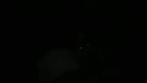 Snapshot of johnukber chatting on 12-09-24, 12:45 John Ukber online show from 12-09-24, 12:45