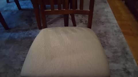 Snapshot of johnxxx549 chatting on 11-03-25, 03:46 johnxxx549 online show from 11-03-25, 03:46