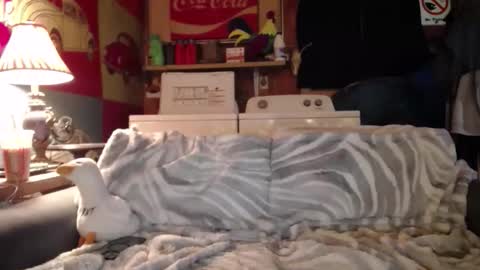 Snapshot of johstondude chatting on 05-17-26, 12:41 Johston online show from 05-17-26, 12:41