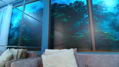 Jonas online show from 12-12-24, 12:48