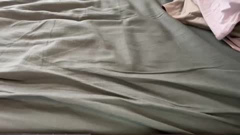 Maximo online show from 03-13-26, 01:51