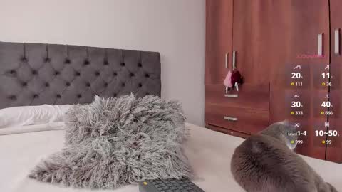 Will online show from 10-20-25, 08:42