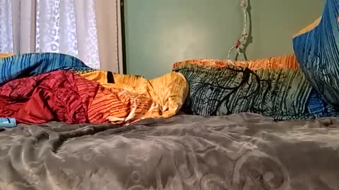 jorjina_x_mckie online show from 01-09-25, 08:22