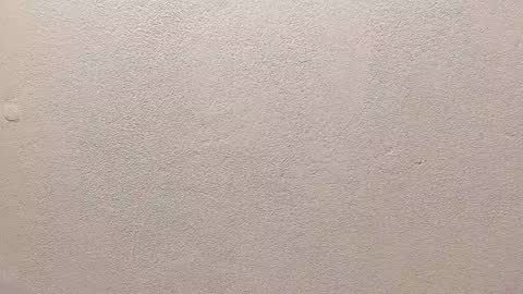 Snapshot of joseph_palacios chatting on 09-13-25, 06:51 joseph palacios online show from 09-13-25, 06:51