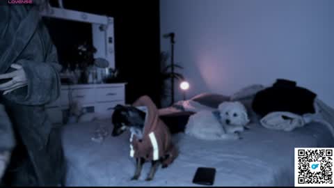 Snapshot of jossephine_ chatting on 01-21-25, 05:49 josephine   independent model    online show from 01-21-25, 05:49