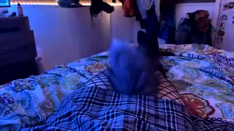 jrod11229 online show from 10-27-25, 02:15