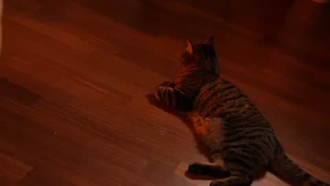 Jennifer Diaz online show from 02-03-25, 11:15