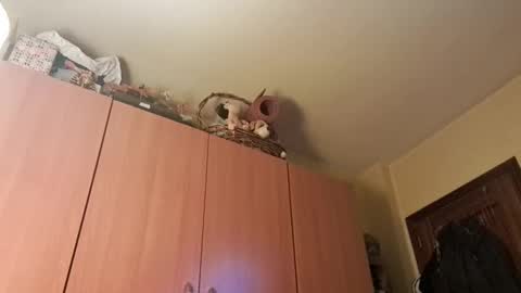 Snapshot of juanka85564456 chatting on 01-20-25, 09:43 juanka85564456 online show from 01-20-25, 09:43