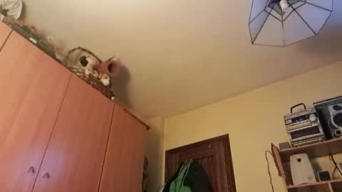 Snapshot of juanka85564456 chatting on 01-29-25, 12:43 juanka85564456 online show from 01-29-25, 12:43