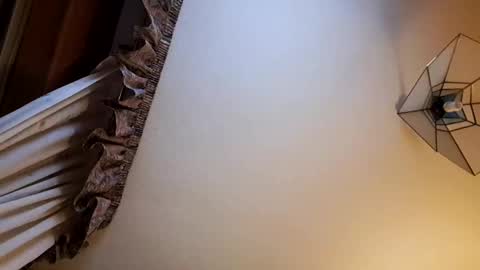 Snapshot of juanka85564456 chatting on 02-01-25, 02:47 juanka85564456 online show from 02-01-25, 02:47