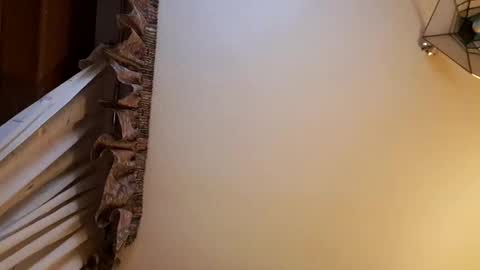 Snapshot of juanka85564456 chatting on 02-28-25, 11:56 juanka85564456 online show from 02-28-25, 11:56