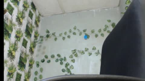 Snapshot of juicy_gold22 chatting on 02-13-25, 01:19 Mariagold online show from 02-13-25, 01:19