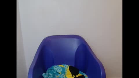 Snapshot of juicyxpink chatting on 02-21-25, 02:16 juicyxpink online show from 02-21-25, 02:16