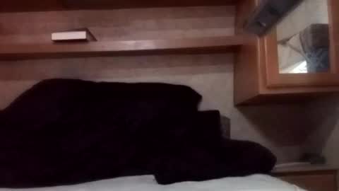 Snapshot of juish5521 chatting on 03-03-25, 12:26 Juish5521 online show from 03-03-25, 12:26