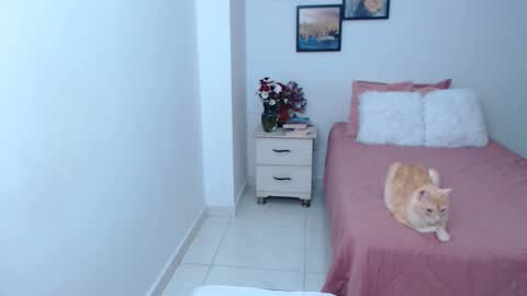 julia online show from 04-06-26, 04:46