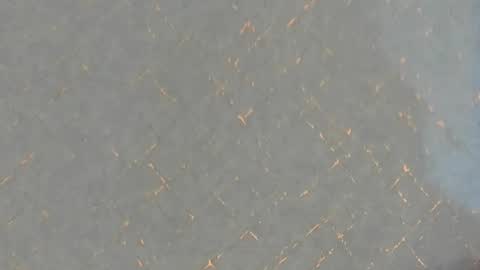 junosomnum online show from 03-01-25, 01:53