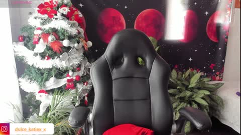 Snapshot of just_katiex chatting on 12-31-24, 06:24 Sofia online show from 12-31-24, 06:24