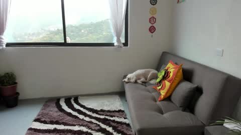 Snapshot of just_katiex chatting on 03-07-25, 02:34 Sofia online show from 03-07-25, 02:34