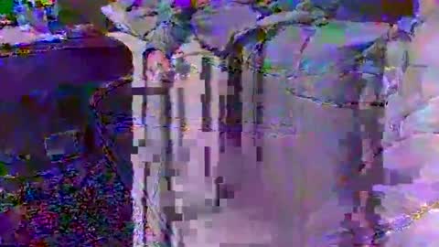 Techno Nymph online show from 02-25-26, 03:49