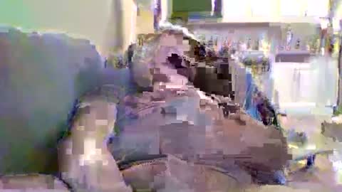 justright1 online show from 02-04-25, 07:00