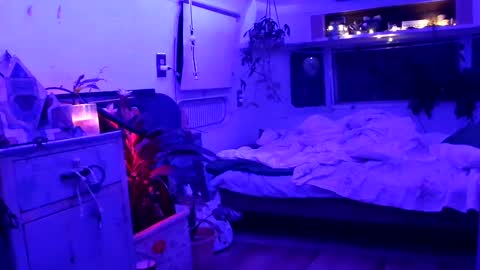 jwolf11851725 online show from 09-21-25, 08:05