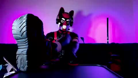 Snapshot of k9_goodboy chatting on 03-01-26, 07:05 Alex online show from 03-01-26, 07:05