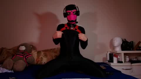 Snapshot of k9_goodboy chatting on 06-07-26, 03:21 Alex online show from 06-07-26, 03:21