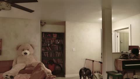 Snapshot of kaileeshy chatting on 11-27-25, 04:58 Kailee Smile online show from 11-27-25, 04:58