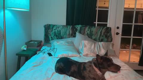 Snapshot of kaileeshy chatting on 02-10-26, 05:00 Kailee Smile online show from 02-10-26, 05:00