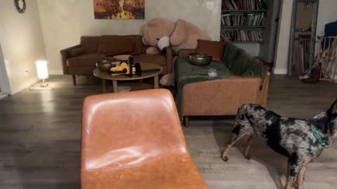 Snapshot of kaileeshy chatting on 03-06-26, 04:53 Kailee Smile online show from 03-06-26, 04:53