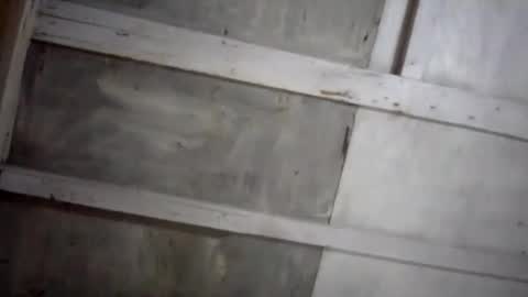 kakaroto30102 online show from 02-17-25, 08:09