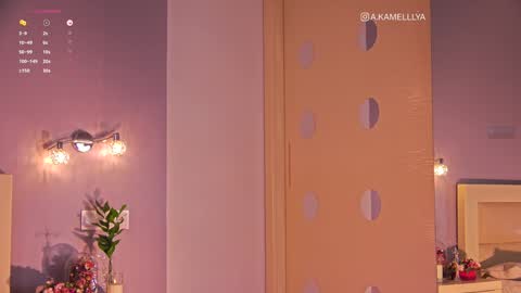 Kamelllya online show from 01-28-25, 01:49